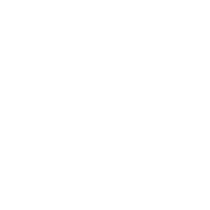 Fox Lab Technologies Logo